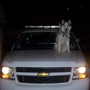 Meet your Posher, Anna